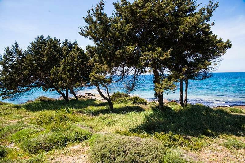 A House Between Ancient Olympia And The Ionian Sea Levendokhórion エクステリア 写真