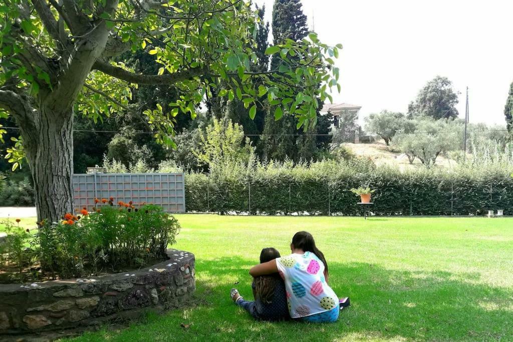 A House Between Ancient Olympia And The Ionian Sea Levendokhórion エクステリア 写真