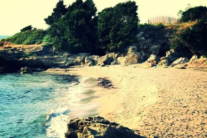 A House Between Ancient Olympia And The Ionian Sea Levendokhórion エクステリア 写真